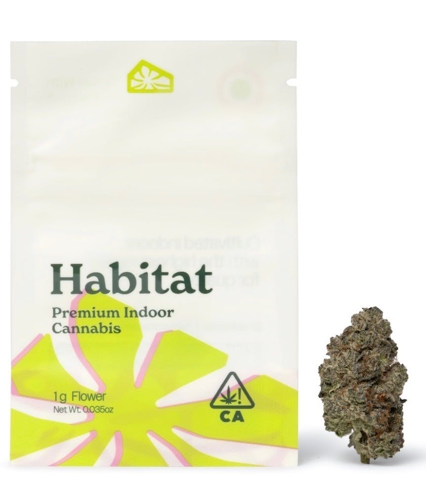 SPACE LEMONADE: By Habitat