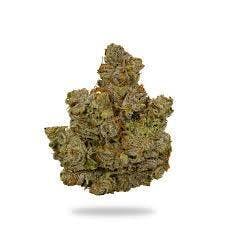 State Flower - Canal Street Runtz (3.5g)