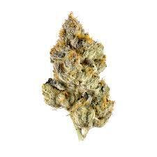Alternative Medicine Association - Rainbow Cake (14g)