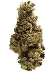 Alternative Medicine Association - Pixie Stix (14g)