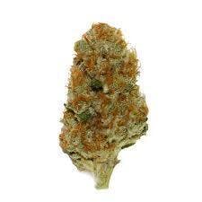 Good Green - Caramel Cream (14g)