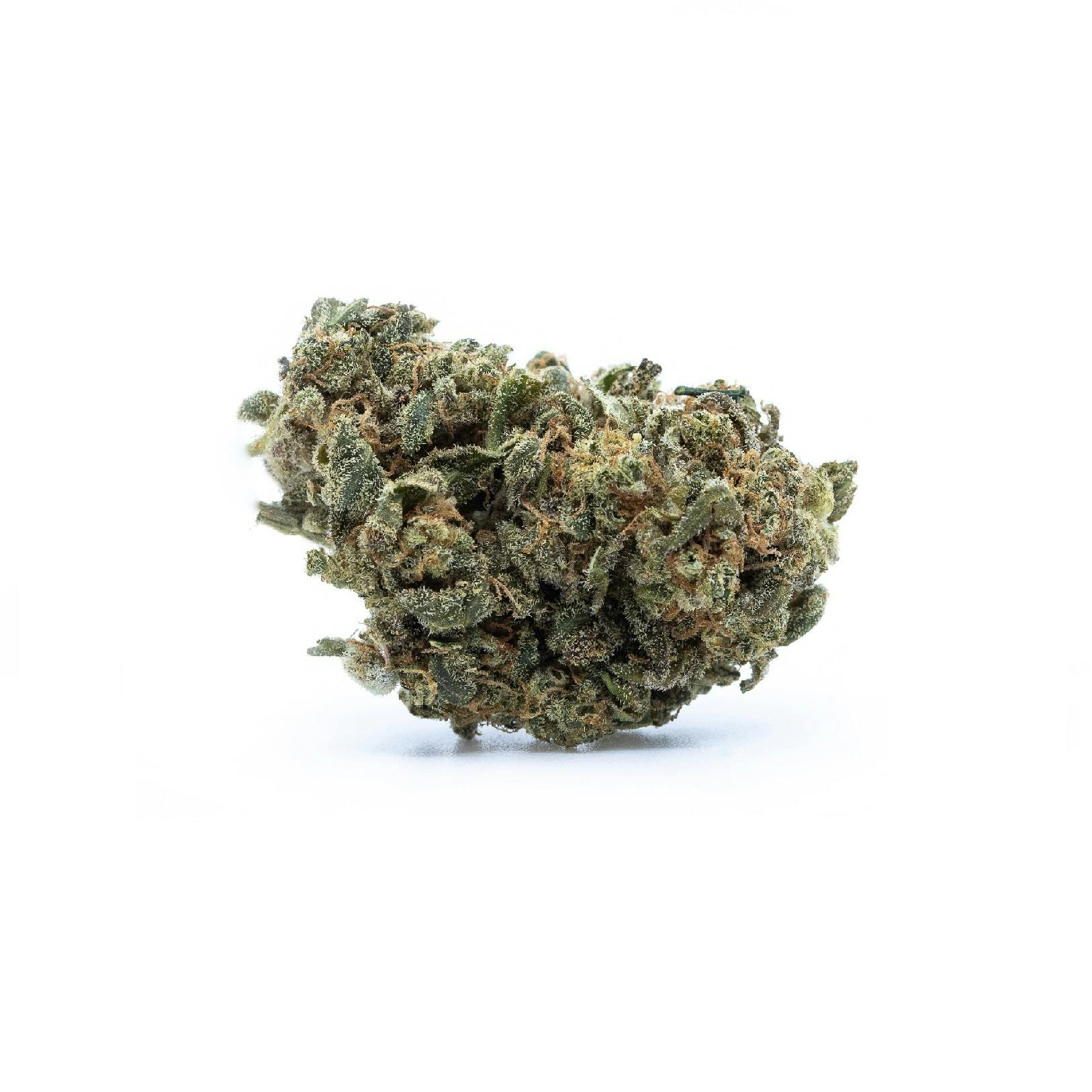 Alternative Medicine Association - GovernMint Oasis (14g)