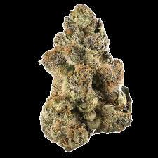 Alternative Medicine Association - Cinnamon Girl (14g)