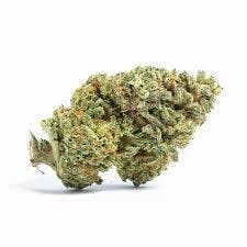 Alternative Medicine Association - Better Than Your OG (14g)