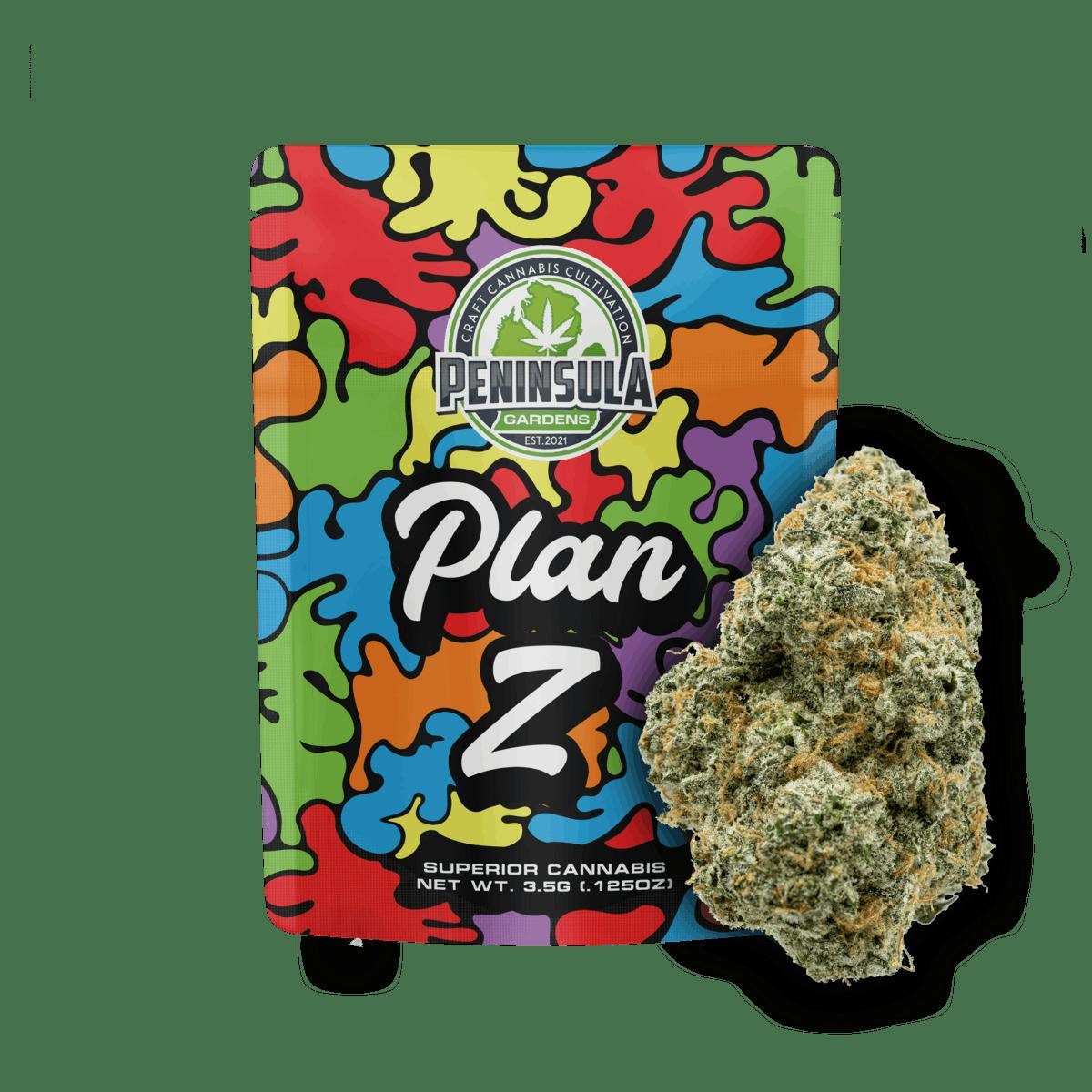 Plan Z