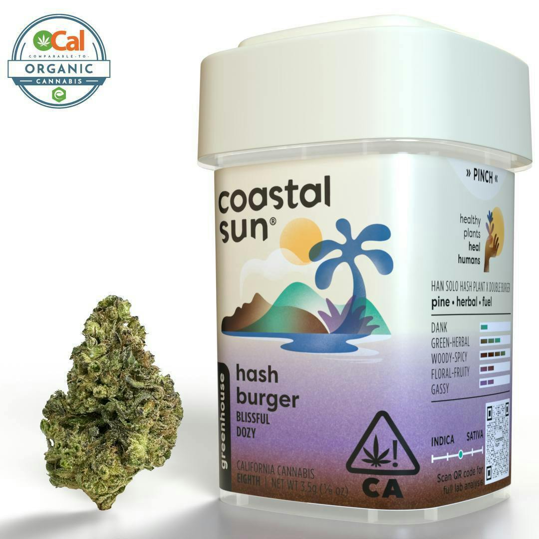 COASTAL SUN - HASH BURGER - HYBRID - FLOWER - 14 g
