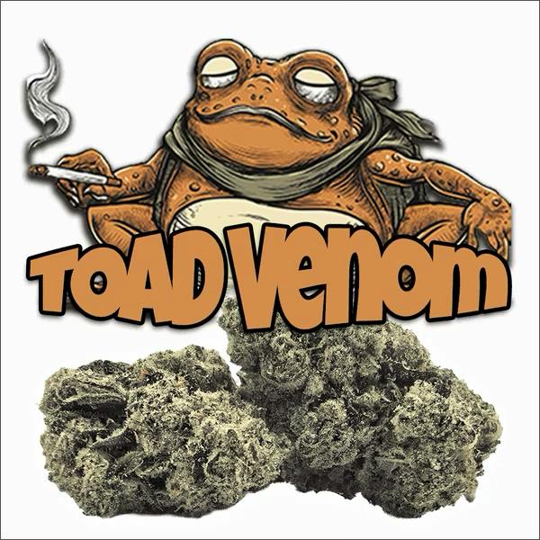 Green Dragon: Toad Venom