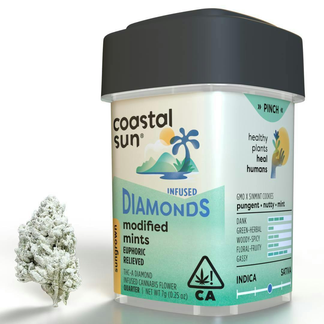 COASTAL SUN - MODIFIED MINTS - HYBRID - INFUSED FLOWER - 7 g