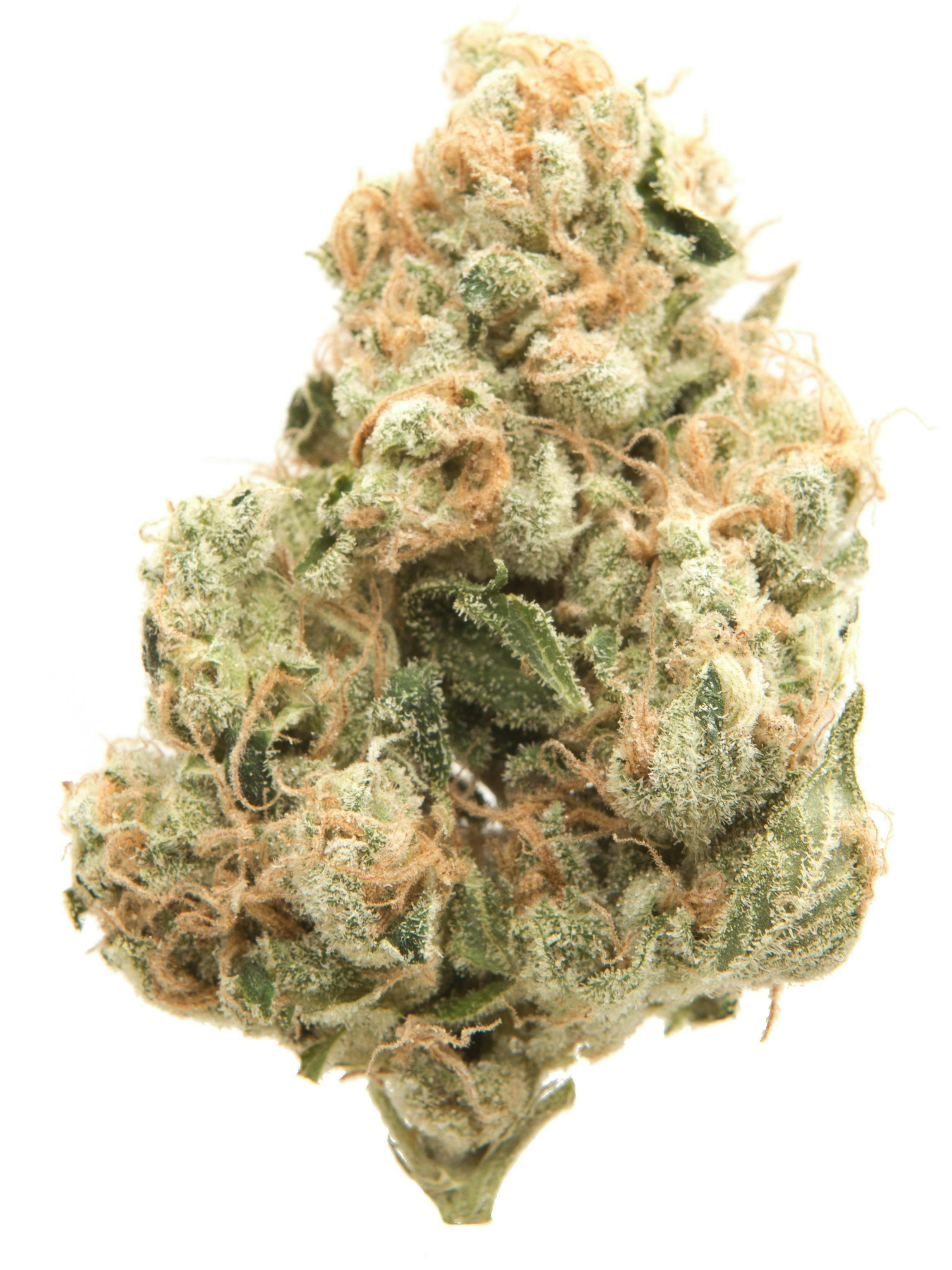 MR. ZIPS - SOUR DIESEL - SATIVA - FLOWER - 14 g