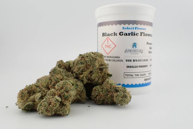 Black Garlic Select Flower - I 7G