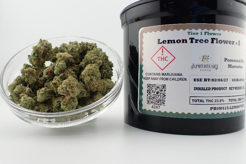 Lemon Tree Tier 1 Flower - S 28G