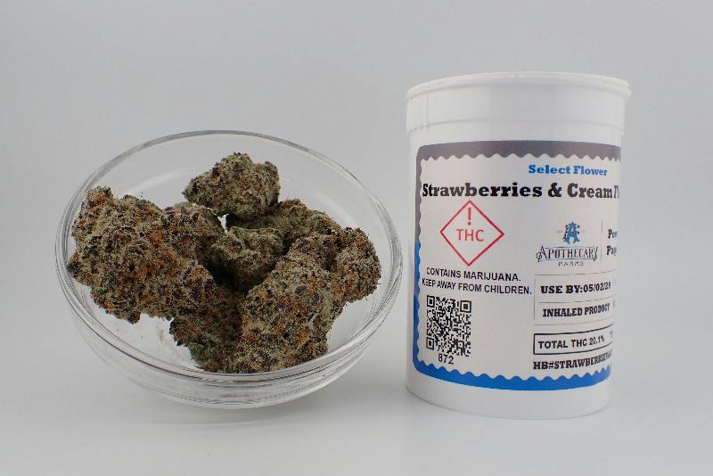 Strawberries & Cream Select Flower - S 7G