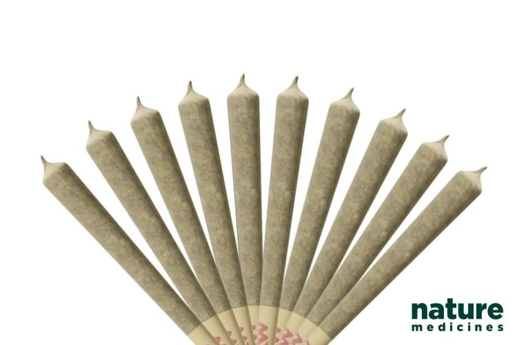 Nature's Preroll (10x1g) Whiplash