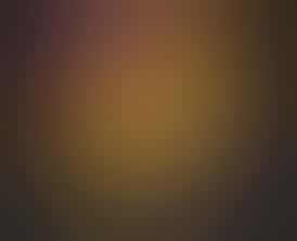 Medible Delights - 600mg 1:1 THC/CBD Therapy Salve 2oz.