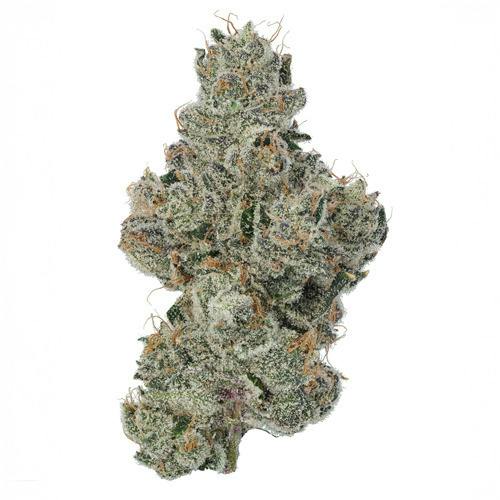 Blossom | Flower (Small Buds) | Bananaconda | 14g