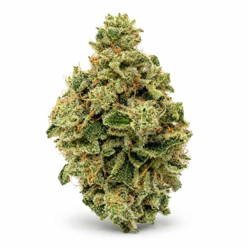 Cap Junky | Big Buds | 3.5g