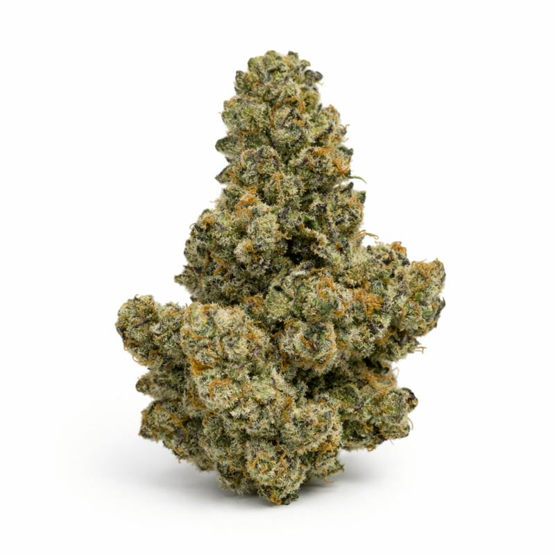 Blossom | Flower | Iron Lungs | Packaged