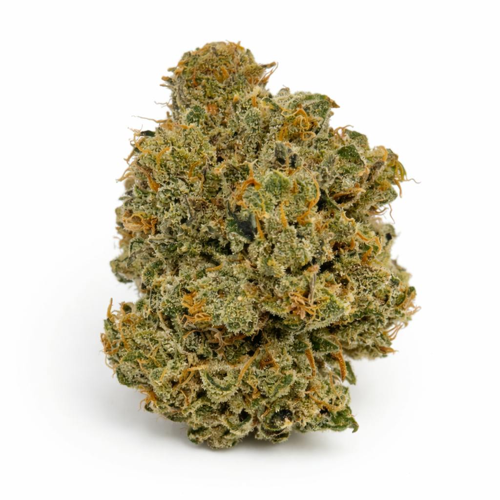 Blossom | Flower | Lurch | Packaged