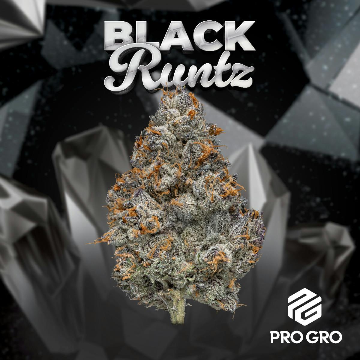 Black Runtz | Deli