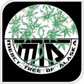 Mercy Fruit Haze Sativa 14g Trim