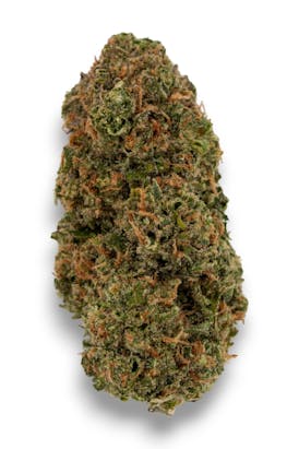 Blue Cookies Indica