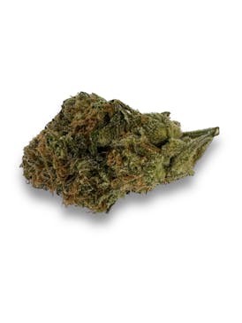 Honey Banana Sativa