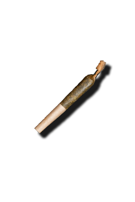 Pina Colada Dissy Darts .5g Infused