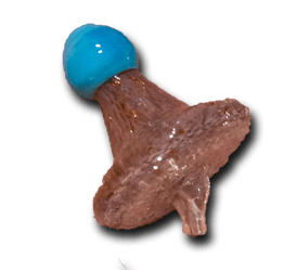 Carb Cap