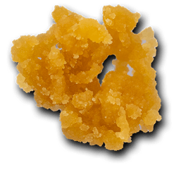 Dad Bod Sugar Hybrid 1g
