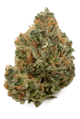 Blueberry Indica