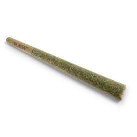 Blackberry Cream Indica 1g