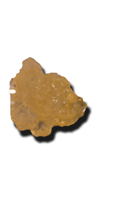 Banana Snacks Caviar Sugar Wax Hybrid 1g