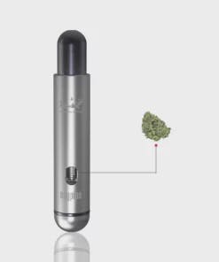 Day Pipe