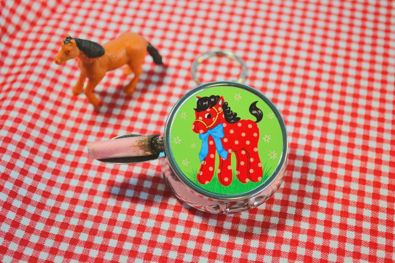 Pony Ash Tray Keychain