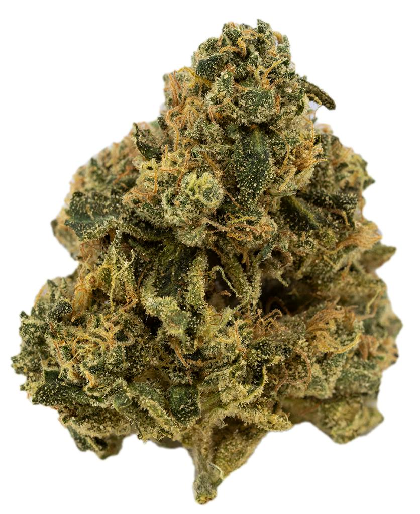 Notorious THC Indica