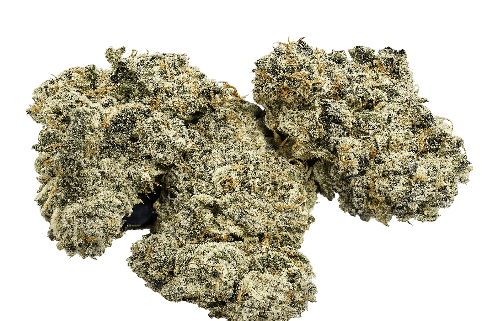 Apple Colada Indica