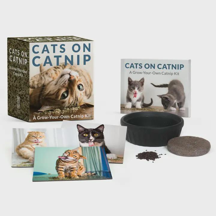 Cats On Catnip: A Grow-Your-Own Catnip Kit
