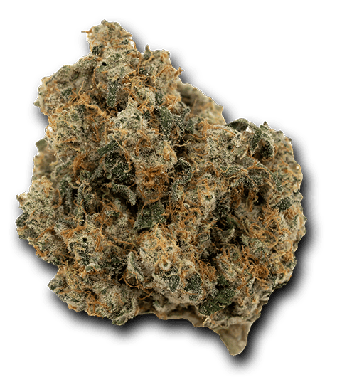 Cake Latto Indica