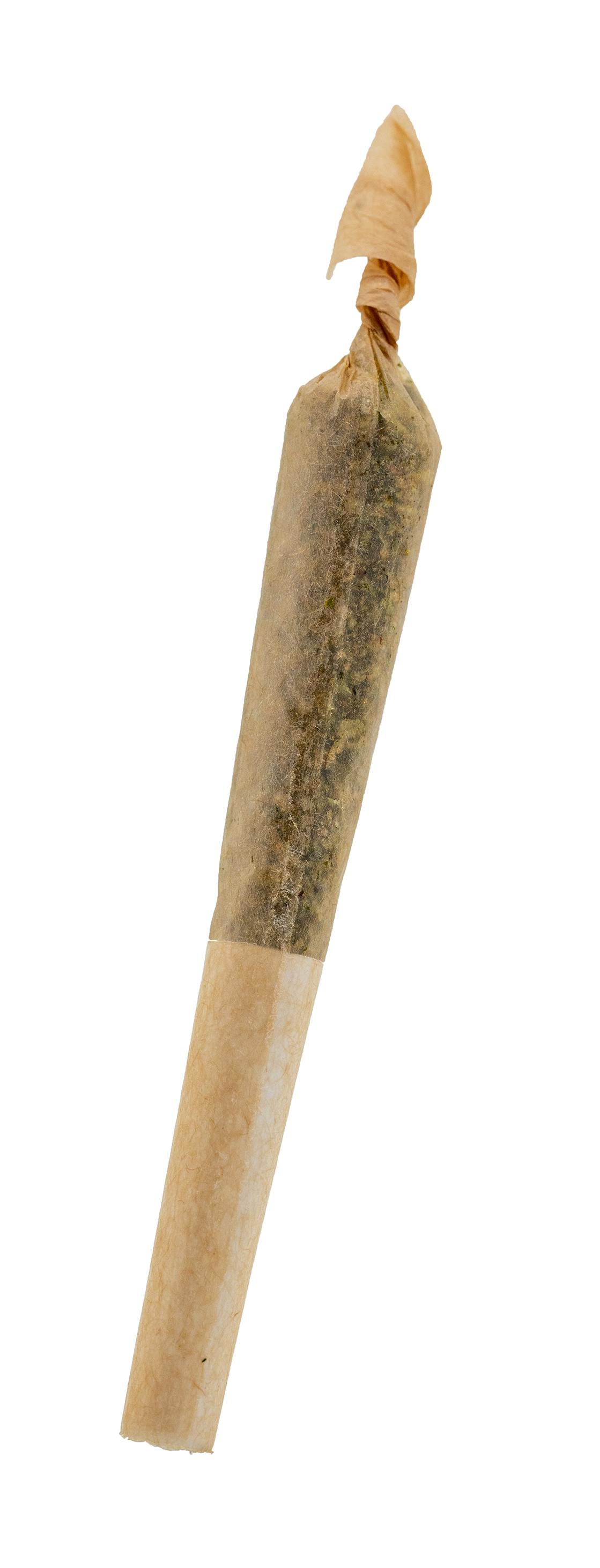 Pina Colada Dissy Dart .5g Infused