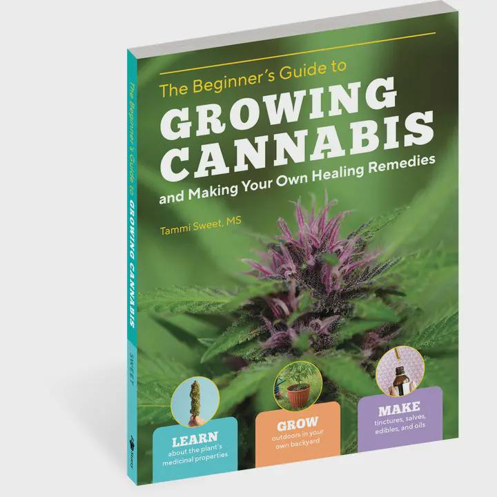 The Beginner's Guide To Growing and Making Healing Remedies