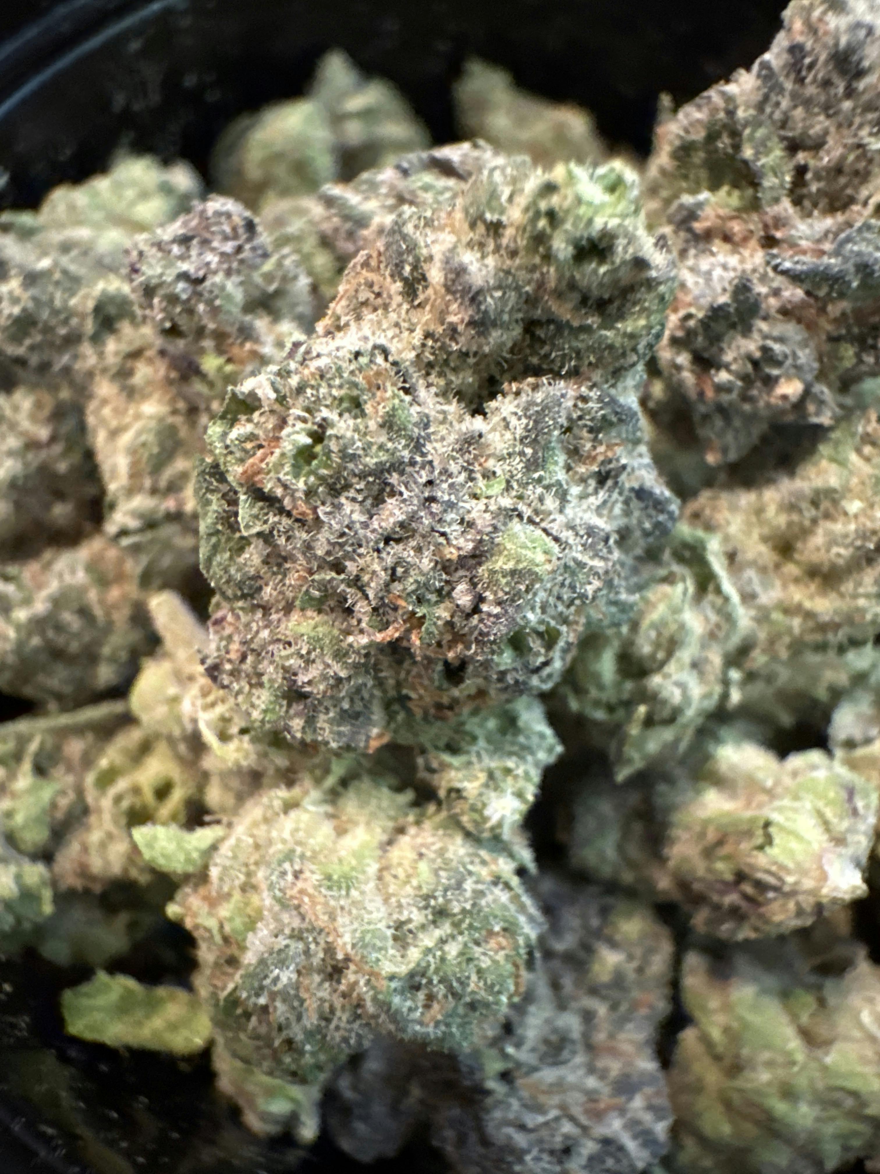 Jungle OG | Thin Mint Jealousy | Top Shelf Flower