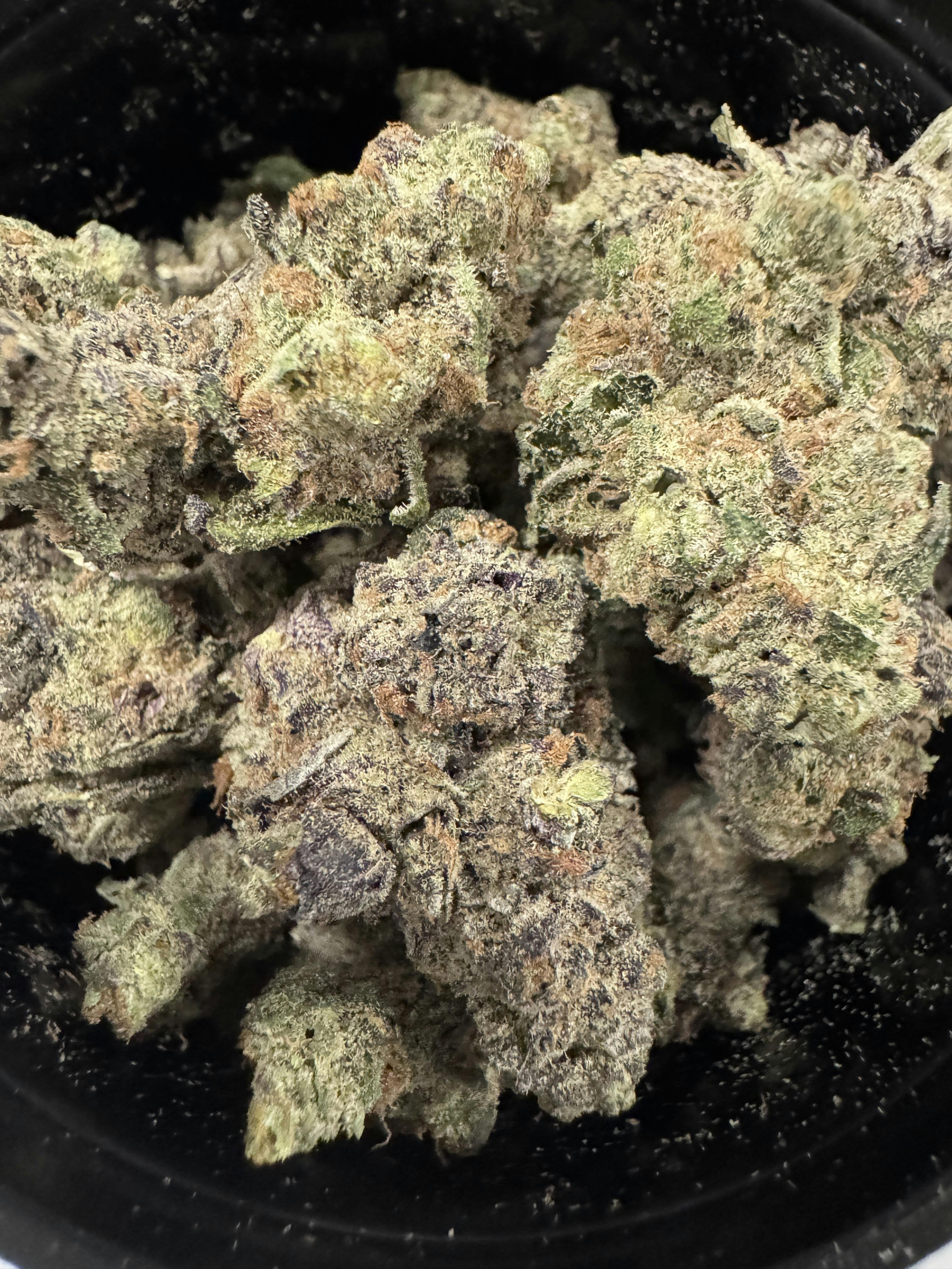 Common Citizen | Demon King | Top Shelf Flower A's