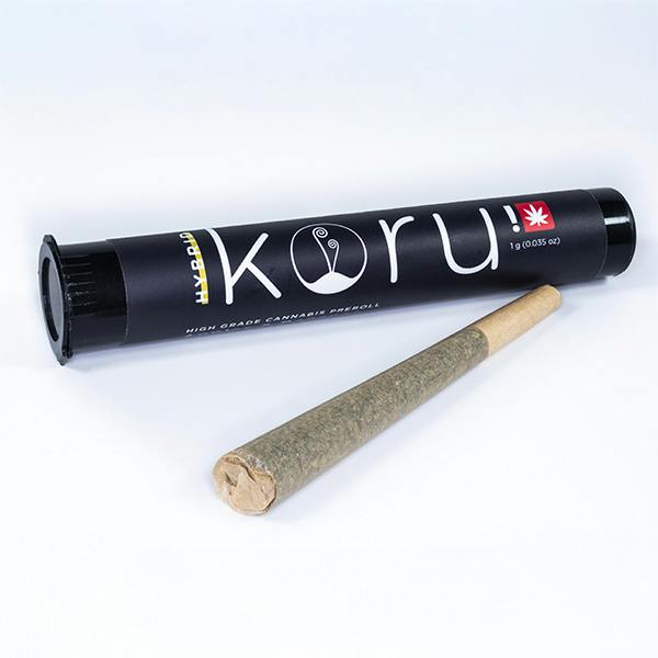 Chocolate Haze 1g Preroll from Koru