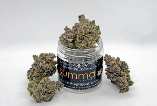 SUMMA - Flower - Shady Apples (H) (3.5g)