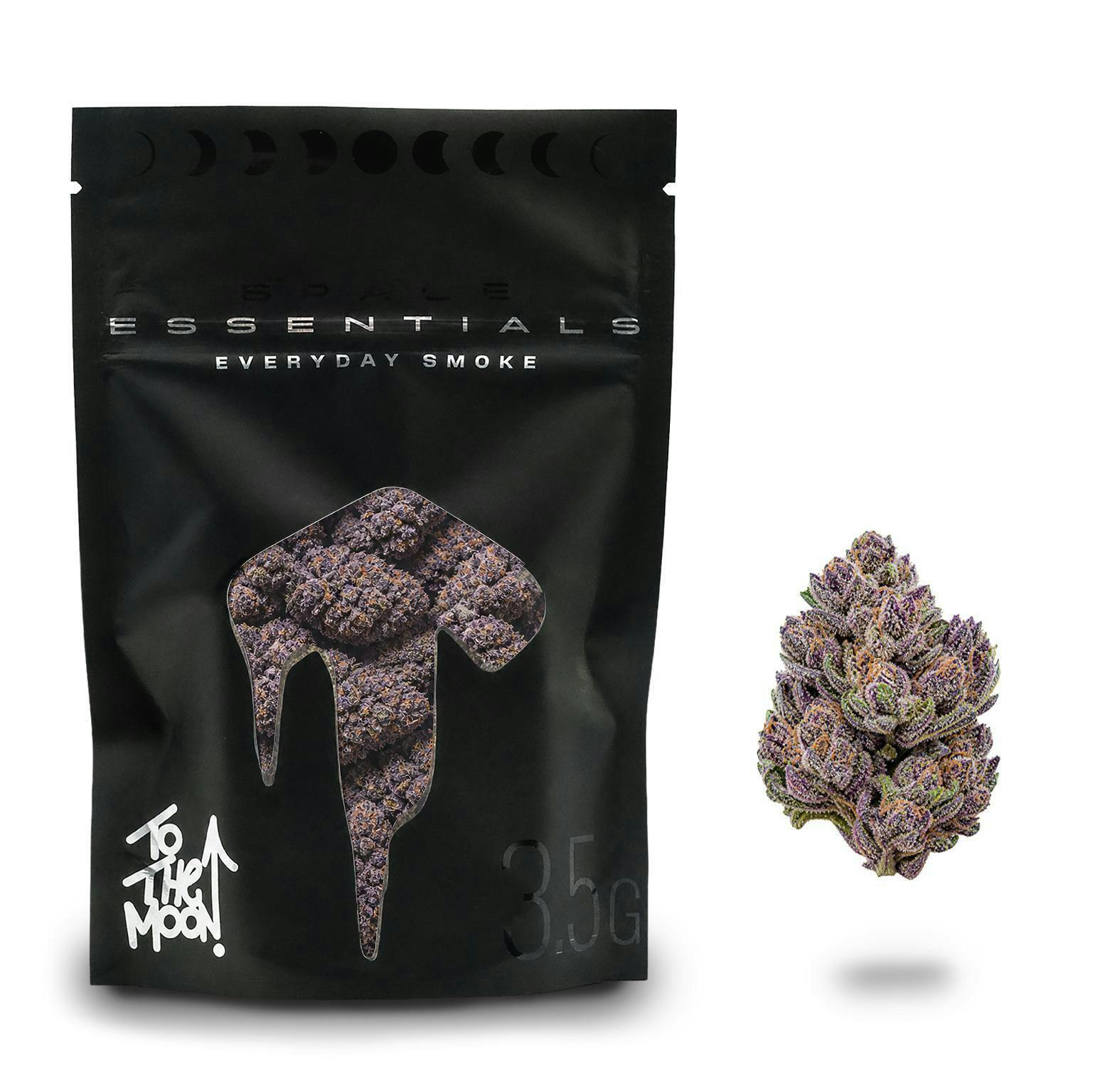 Granddaddy Pluto | Flower