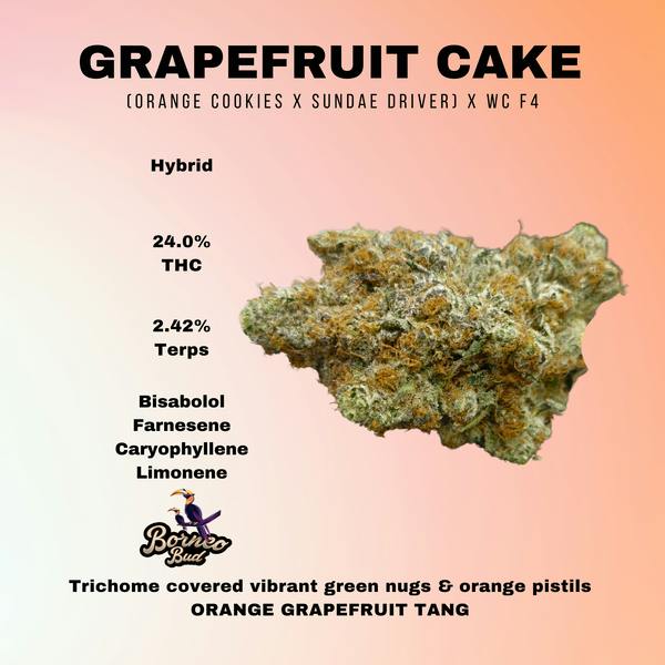 BORNEO BUD | GRAPEFRUIT CAKE | 3.5G | HYBRID