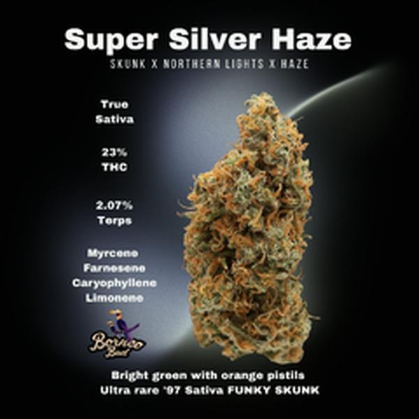 BORNEO BUD | SUPER SILVER HAZE | 7G | SATIVA