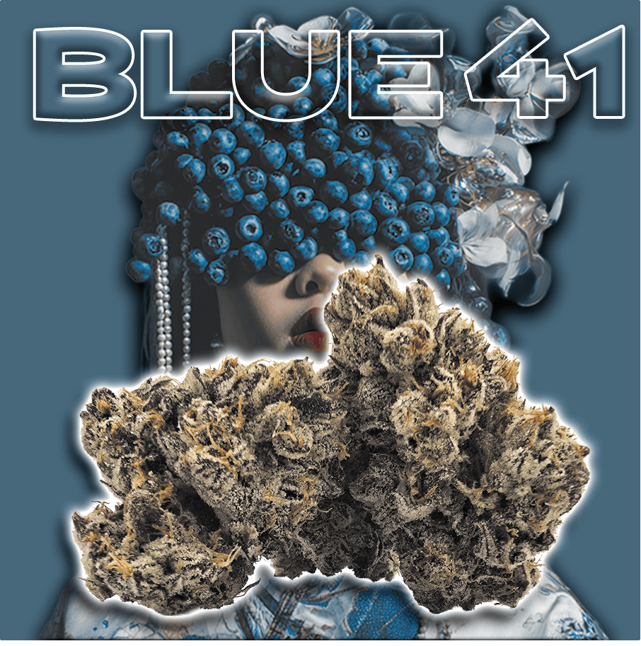 $30 Blue 41 (I) - 1/8th