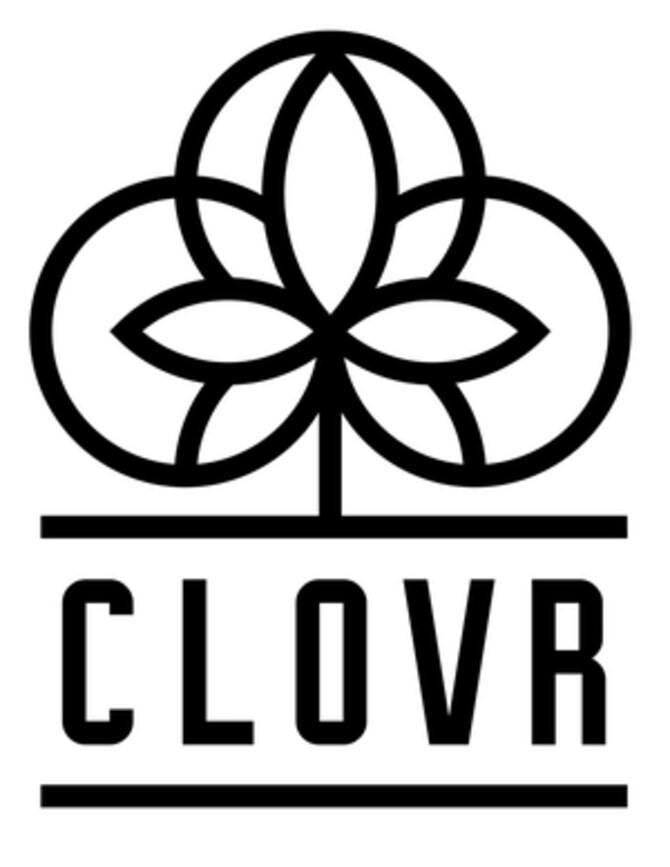 Chemdawg 1g Infused Preroll - Clovr
