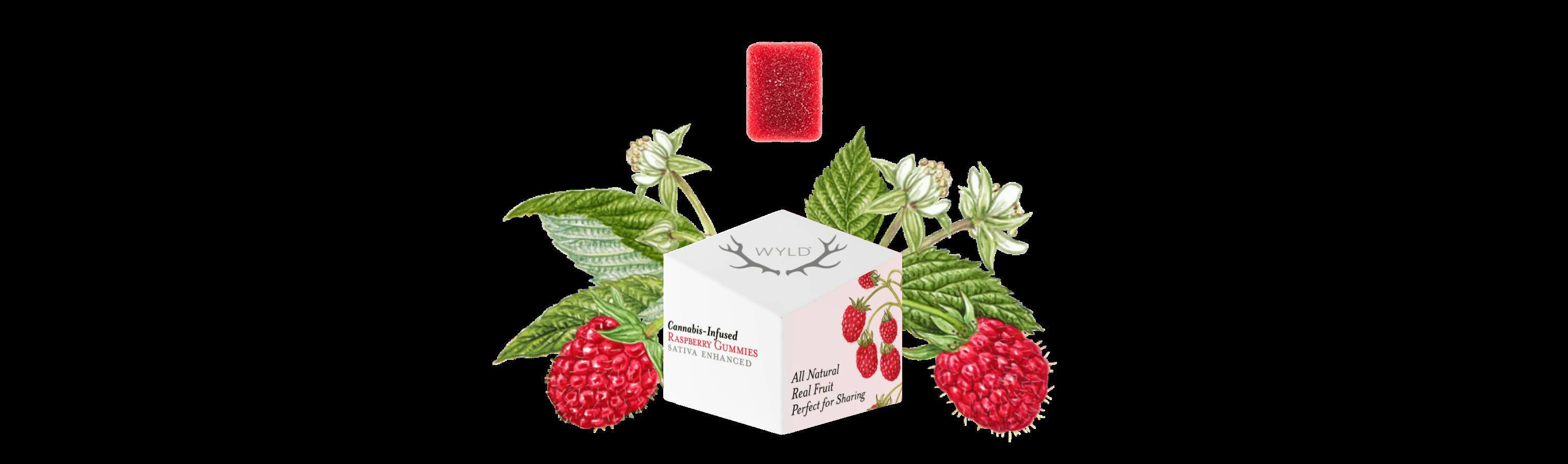 Raspberry 100mg gummies - Wyld